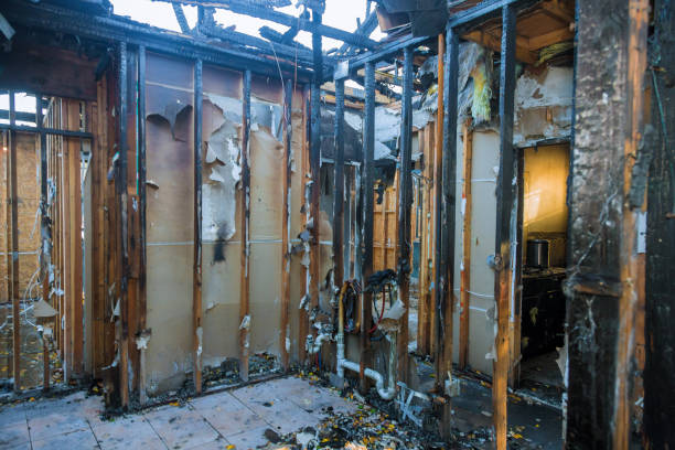 Professional Fire Damage Removal technician working in Onalaska, TX